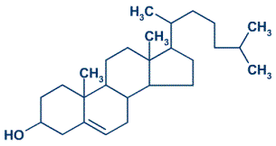 Estructura de los lipidos