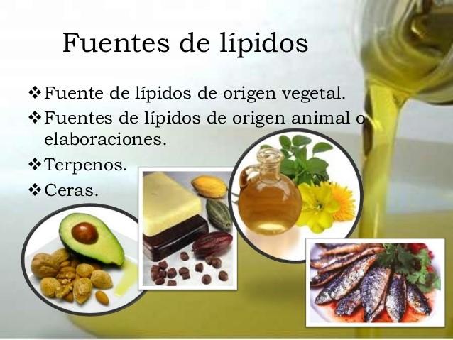 Fuente de los lipidos